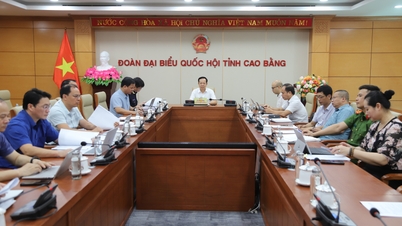 Hội nghị trực tuyến toàn quốc sơ kết thực hiện Công điện số 38 của Thủ tướng Chính phủ - Báo Cao Bằng điện tử