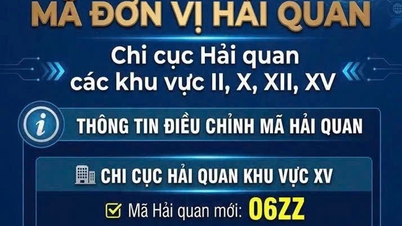 Τα Τελωνεία Tan Son Nhat και η Express Delivery άλλαξαν τους κωδικούς διαχείρισης.