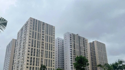 Regulations on rental price frameworks for apartments and boarding houses built by private investors.