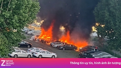 20 Geely-Elektroautos in China durch Kapokblüten vollständig zerstört?