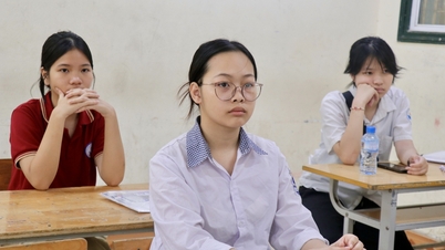 Jawaban resmi untuk ujian masuk Bahasa Inggris kelas 10 Hanoi tahun 2026.