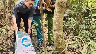 Obyvatel obce Lam Son v provincii Khanh Hoa (dříve provincie Ninh Thuan) předal toto divoké zvíře policii.