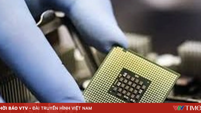 USA zpřísňují kontroly nad vývozem čipů s umělou inteligencí.