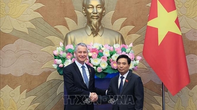 Terus menggalakkan kerjasama substantif antara Dewan Undangan Negeri Vietnam dan Parlimen Perancis.
