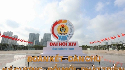 Kongres ke-14 menandakan satu peristiwa penting dalam pembangunan Kesatuan Sekerja Vietnam.
