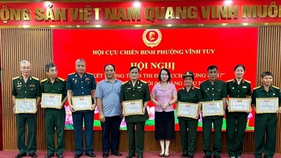 Veteranen in de wijk Vinh Tuy wedijveren met elkaar om een ​​voorbeeld te zijn en bij te dragen aan de lokale ontwikkeling.
