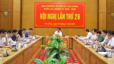 省党委員会常務委員会第26回会議（第20期） - 曹邦オンライン新聞