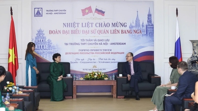 Das breite Spektrum an Bildungsmöglichkeiten für Schüler der Hanoi-Amsterdam High School in der Russischen Föderation.