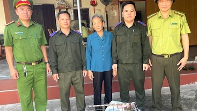 ลิงทองหายากน้ำหนัก 5 กิโลกรัม ถูกส่งมอบให้แก่ทางการในจังหวัดฮาติงแล้ว