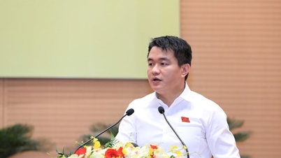 하노이시는 수도법 시행을 위한 22개 결의안을 발표했으며, 해당 법은 현재도 효력을 유지하고 있습니다.