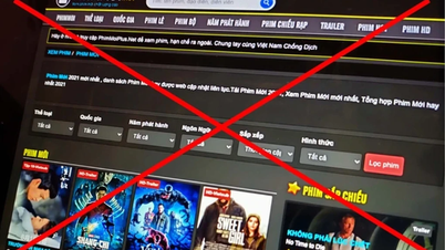 Over 1,000 copyright-infringing websites were blocked, and 44 serious cases were prosecuted.