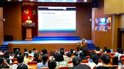 เขตแทงซวนพัฒนาประสิทธิภาพการบริหารจัดการผ่านระบบ HanoiWork