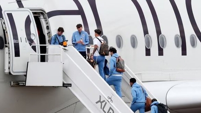 L'Angleterre arrive aux États-Unis prête à conquérir son premier titre de champion du monde depuis 60 ans.