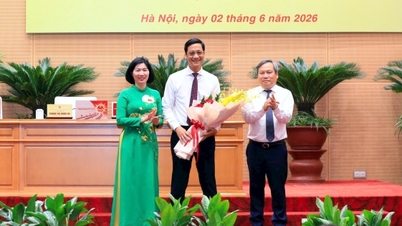 M. Le Thanh Nam a été élu membre du Comité populaire de la ville de Hanoï.