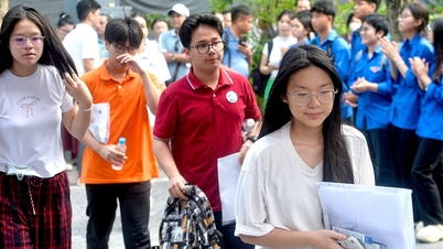 Hanoi Department of Education and Training har annonsert fasitnøkkelen for opptaksprøven for 10. trinn for skoleåret 2026–2027.