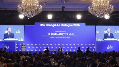 Le message de construction et de maintien de la paix rehausse la position et le prestige du Vietnam.