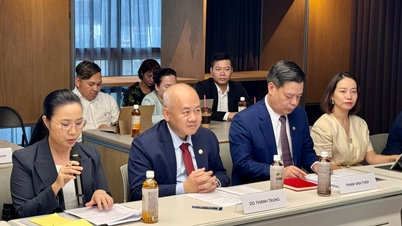 Hai Phong lädt zwei führende südkoreanische Technologieunternehmen zu einer Investition ein.