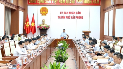 Hai Phong stawia sobie za cel 87 000 przedsiębiorstw.
