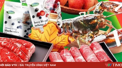 カナダ産農産物 ― カナダの農場からベトナムの食卓へ。