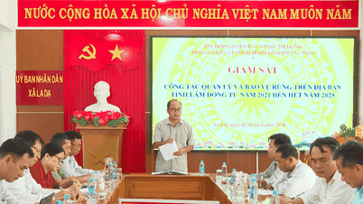 Lam Dongs provinsiella folkråd övervakar skogsskyddsarbetet vid Binh Thuan Forestry Company.