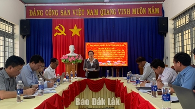 แบบสำรวจเกี่ยวกับการบังคับใช้กฎระเบียบด้านที่ดินสำหรับชนกลุ่มน้อย