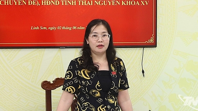 Ban Dân tộc HĐND tỉnh khảo sát một số nội dung tại phường Linh Sơn