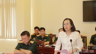 Una delegazione del Dipartimento politico generale dell'Esercito popolare vietnamita sta operando nella provincia di Lang Son.