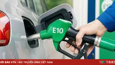 E10 गैसोलीन की कीमत की गणना कैसे की जाती है, और यह पारंपरिक गैसोलीन की तुलना में कितना सस्ता है?