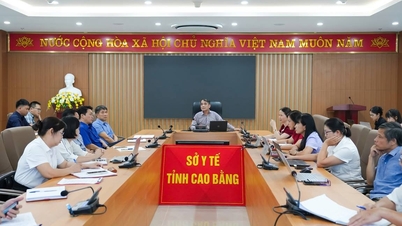 Sở Y tế họp đẩy mạnh công tác khám sức khỏe định kỳ, khám sàng lọc cho người dân theo Nghị quyết số 72-NQ/TW của Bộ Chính trị; Công bố các quyết định về công tác cán bộ