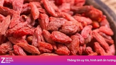 Ramuan panjang umur ini diibaratkan seperti 'berlian merah,' tetapi hanya sedikit orang yang mengetahuinya.