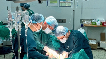A 67-year-old woman in Hanoi developed a liver tumor that swelled tenfold after only a few months of using traditional herbal medicine passed down through word of mouth.