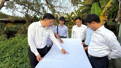 Ho Chi Minh City: 853 cases eligible for compensation at the Rach Chiec National Sports Complex Project.