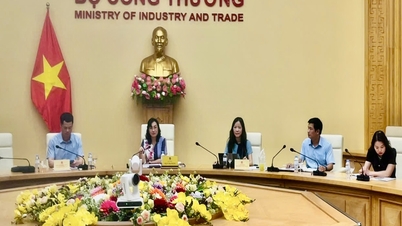 Wakil Menteri Phan Thi Thang bekerja sama dengan provinsi Quang Tri dalam pengembangan perjanjian percontohan untuk zona ekonomi dan perdagangan lintas batas Lao Bao - Densavan.