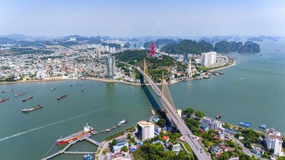 Door middel van het beleid tot oprichting van de stad Quang Ninh.