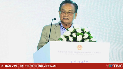 Ho Chi Minh City needs to think like a metropolitan area with a 100-year vision.