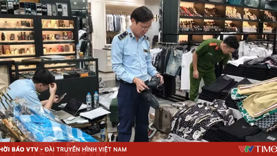 During the peak month, over 1,500 intellectual property infringement cases were processed.
