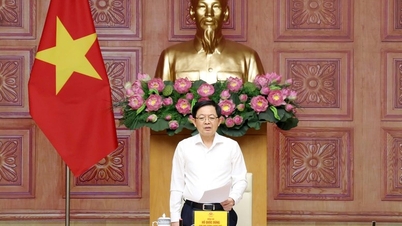 副首相は、知的財産権侵害対策における報道機関の努力を称賛した。