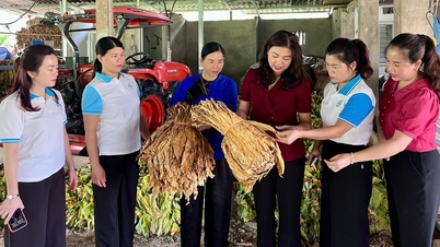 La Unión Provincial de Mujeres de Cao Bang inspecciona y supervisa el trabajo de la Unión y del movimiento de mujeres en la comuna.