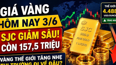 2026년 6월 3일 오늘 SJC, BTMC, DOJI, PNJ 및 Phu Quy의 예상 금 가격입니다.
