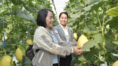 Innovar en los métodos de organización de los agricultores.