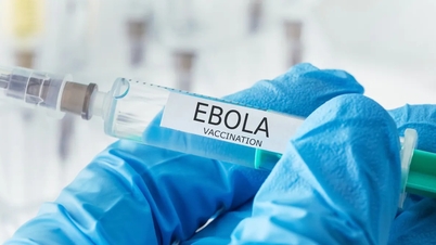 W wyścigu o opracowanie szczepionki przeciwko wirusowi Ebola wyłonili się silni kandydaci.