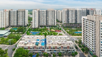 Um homem na cidade de Ho Chi Minh perdeu 100 milhões de VND após dar um sinal para comprar um apartamento hipotecado.