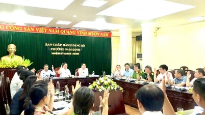 Secondo l'ultima riorganizzazione dei villaggi e delle aree residenziali nella provincia di Ninh Binh, nel distretto di Nam Dinh il numero di aree residenziali dovrebbe ridursi da 135 a 62.