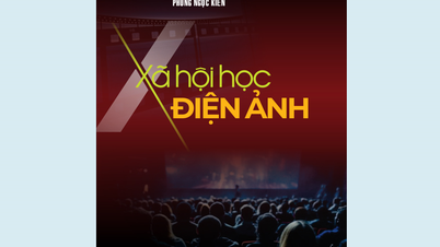Étudier le cinéma d'un point de vue sociologique.