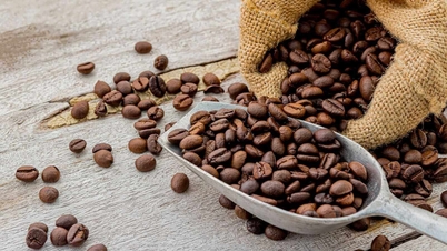 本日（6月3日）のコーヒー価格：まちまちの動向、アラビカ種は1年半ぶりの安値を記録。