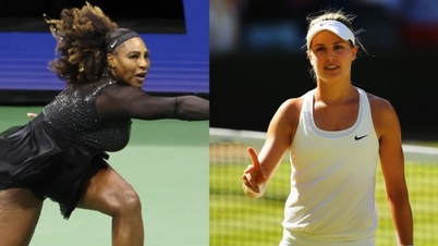 Serena Williams và Eugenie Bouchard xác nhận tái xuất tại Wimbledon 2026