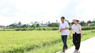 Agricoltori vietnamiti - 40 anni di rinnovamento: quando la terra libera l'aspirazione all'"agricoltura su larga scala" (Parte 3)