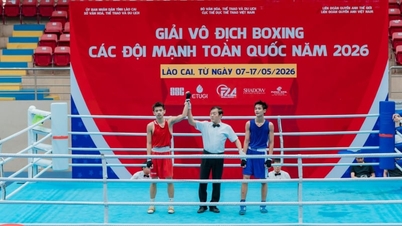 La Fédération vietnamienne de boxe réglera rapidement les honoraires des arbitres pour le championnat national.