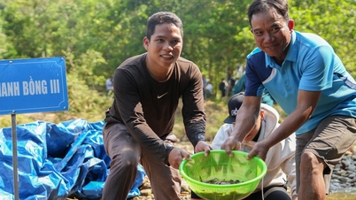 ទំនៀមទម្លាប់បុរាណដែលនៅសេសសល់៖ ប្រពៃណីគួរឱ្យចាប់អារម្មណ៍នៃការ «គ្របដោយភួយ» ដើម្បីចាប់ត្រីនៅថ្ងៃចូលឆ្នាំថ្មី។