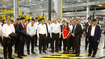 Vietnam pozitivně přispívá k podpoře míru a udržitelného rozvoje.